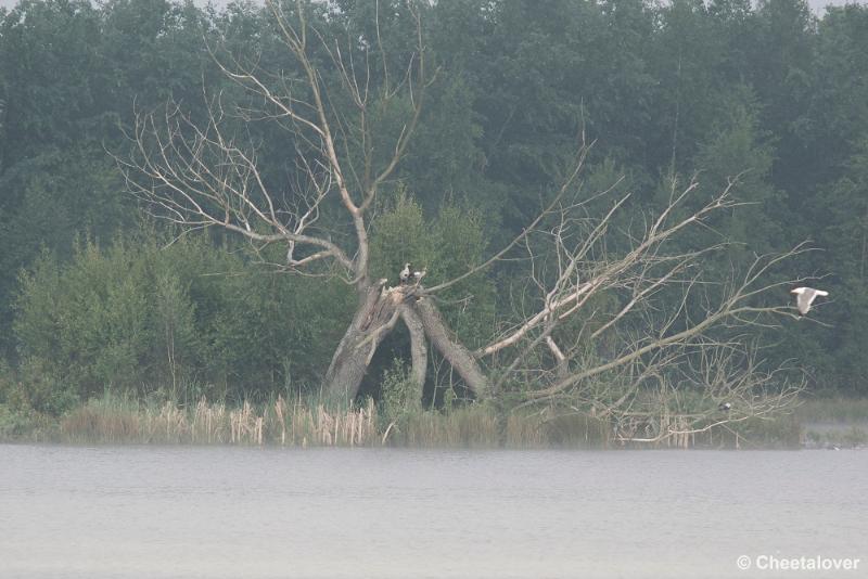 _DSC0076.JPG - Aan het Galgenven