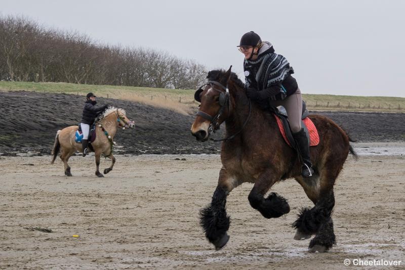 _DSC0340.JPG - Strao Serooskerke