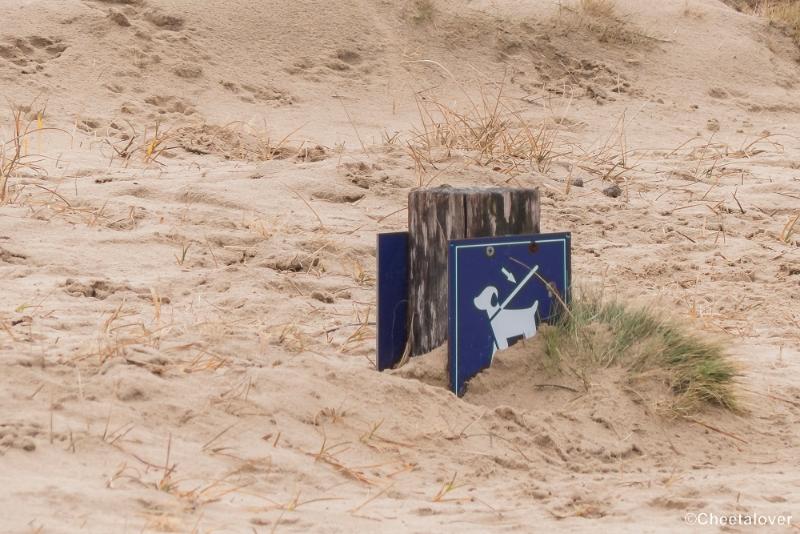 P1380340.JPG - 2018-03-11 Loonse en Drunense Duinen