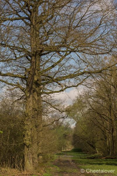 _DSC0088.JPG - Natuurgebied De Brand