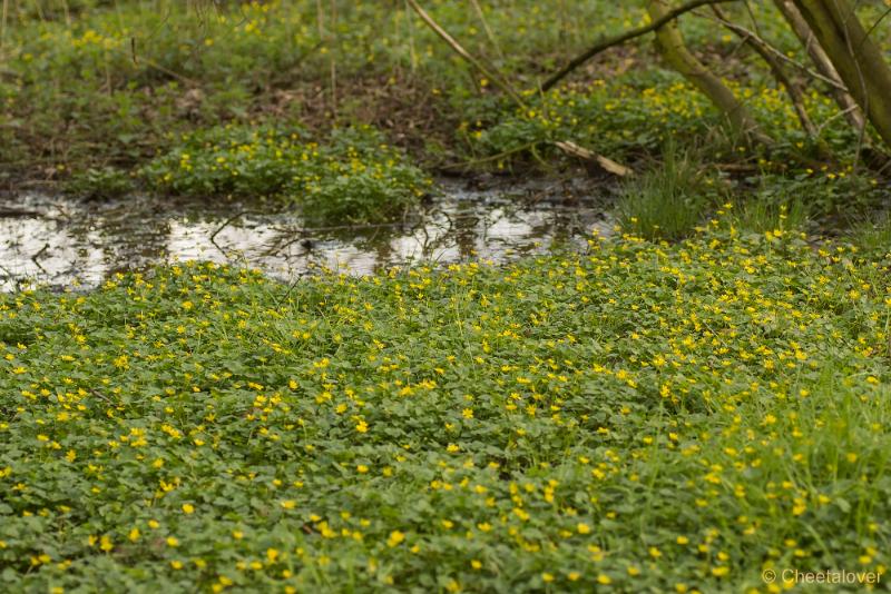 _DSC0113.JPG - Natuurgebied De Brand