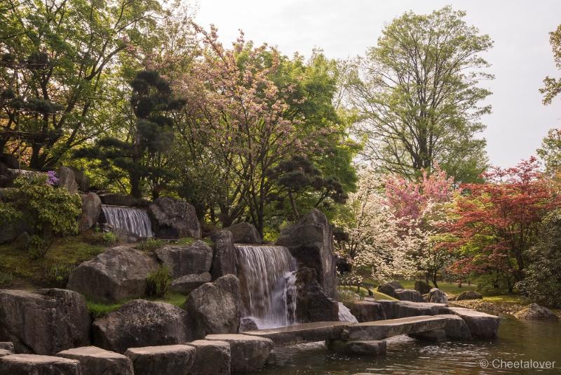 _DSC0051.JPG - Japanse Tuin, Hasselt, België