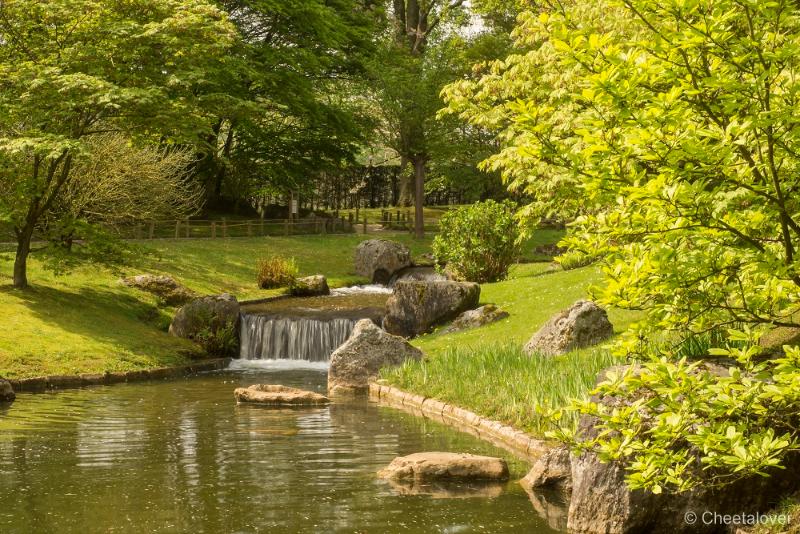 _DSC0164.JPG - Japanse Tuin, Hasselt, België