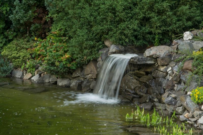 _DSC0103.JPG - Siertuin Het Arendsnest, Lozen, België