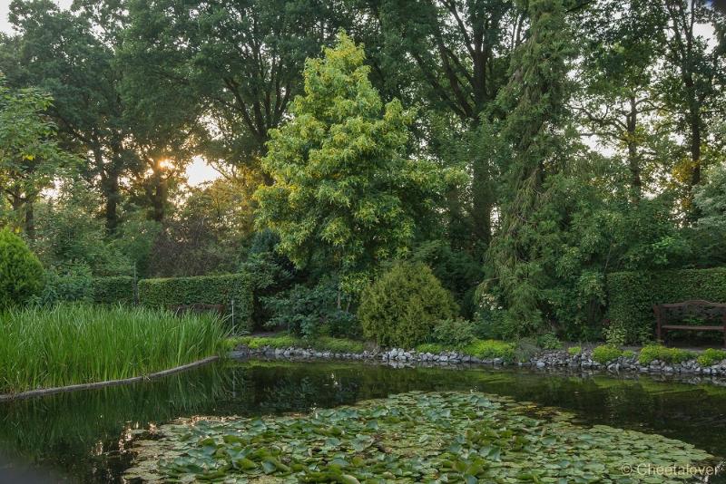 _DSC0106.JPG - Siertuin Het Arendsnest, Lozen, België