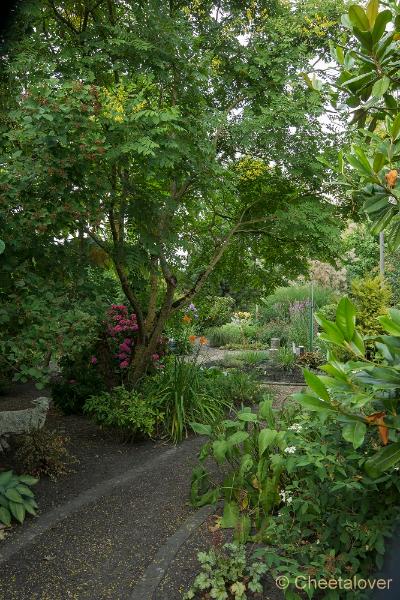 _DSC0109.JPG - Siertuin Het Arendsnest, Lozen, België