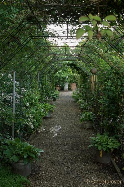 _DSC0133.JPG - Siertuin Het Arendsnest, Lozen, België