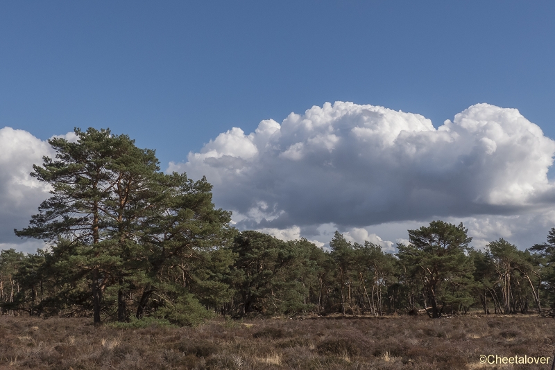 P1400131.JPG - Nationaal Park de Hoge Veluwe