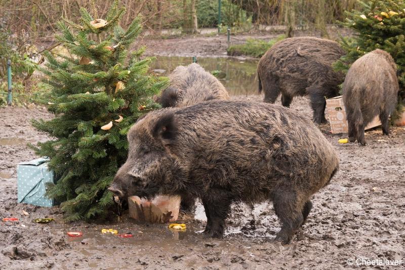 DSC00300.JPG - Kerstdiner in Dierenrijk