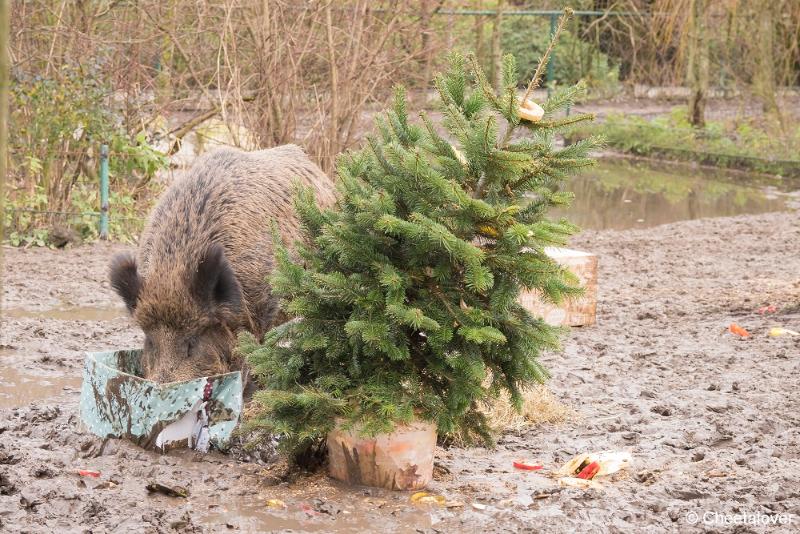 DSC00315.JPG - Kerstdiner in Dierenrijk