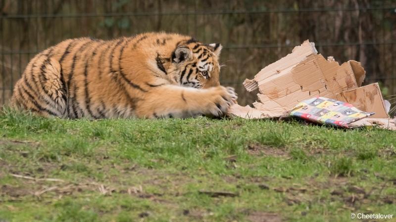 DSC00071.JPG - Safaripark Beekse Bergen Kerstdiner