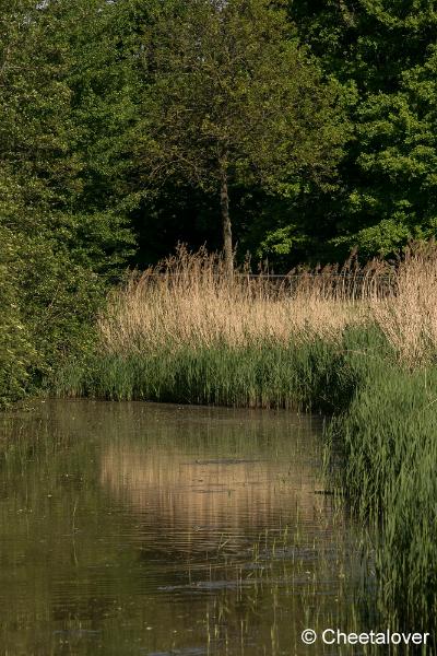 DSC00259.JPG - Tilburg, Dongevallei en Reeshofpark