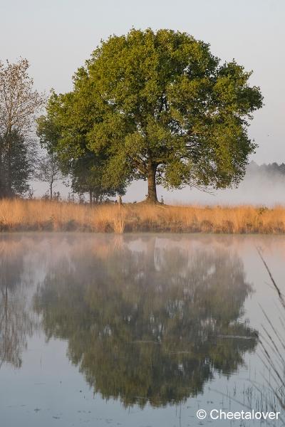 DSC00071.JPG - Huis ter Heide