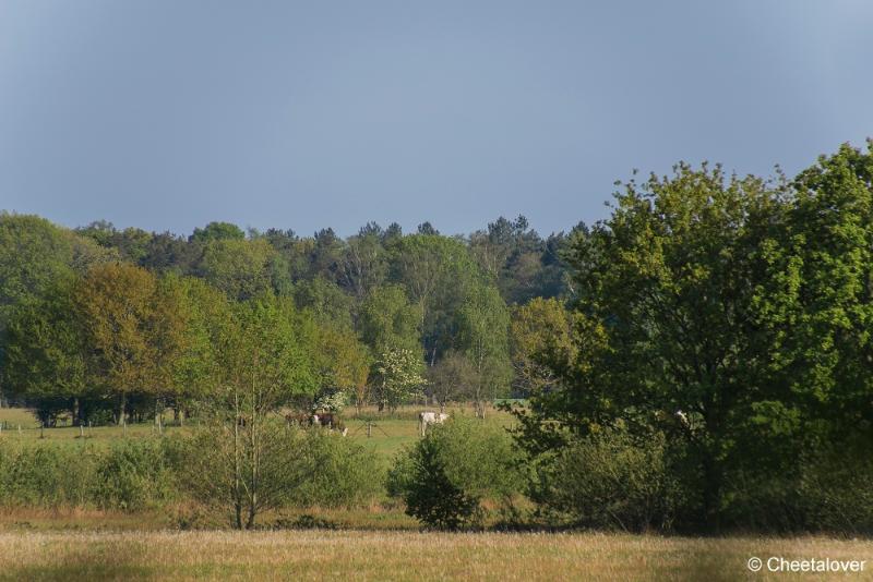 DSC00242.JPG - Huis ter Heide