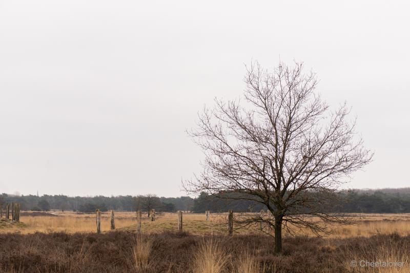 DSC00006.JPG - Regte Heide en Riels Hoefke