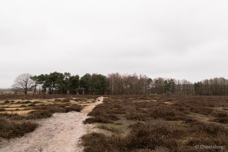 DSC00047.JPG - Regte Heide en Riels Hoefke