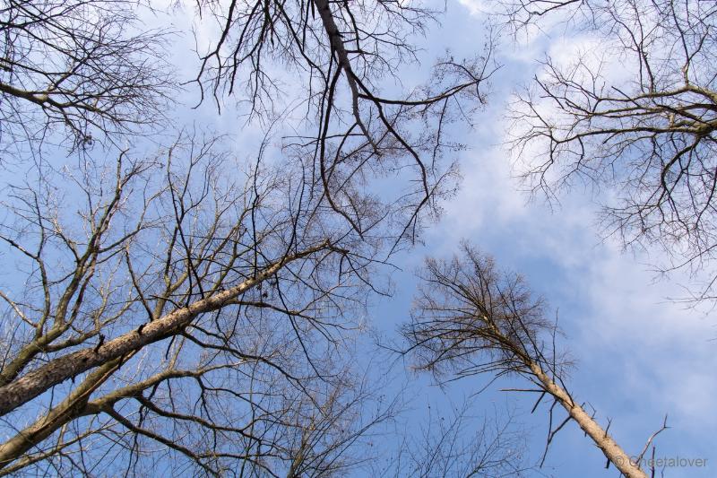 DSC00101.JPG - Regte Heide en Riels Hoefke