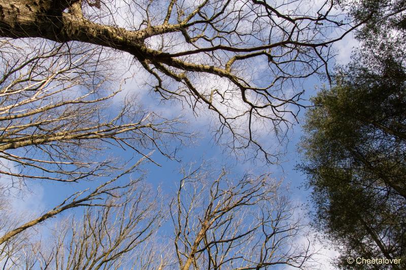 DSC00137.JPG - Regte Heide en Riels Hoefke