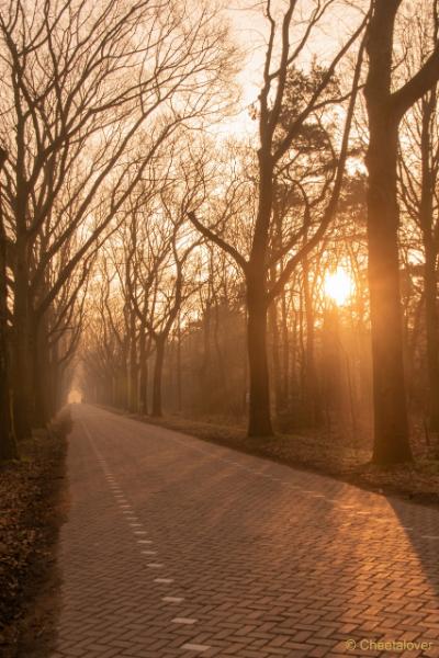 DSC00066.JPG - Zonsopkomst Regte Heide aan Rielse Dijk