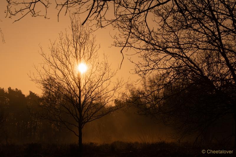 DSC00079.JPG - Zonsopkomst Regte Heide aan Rielse Dijk