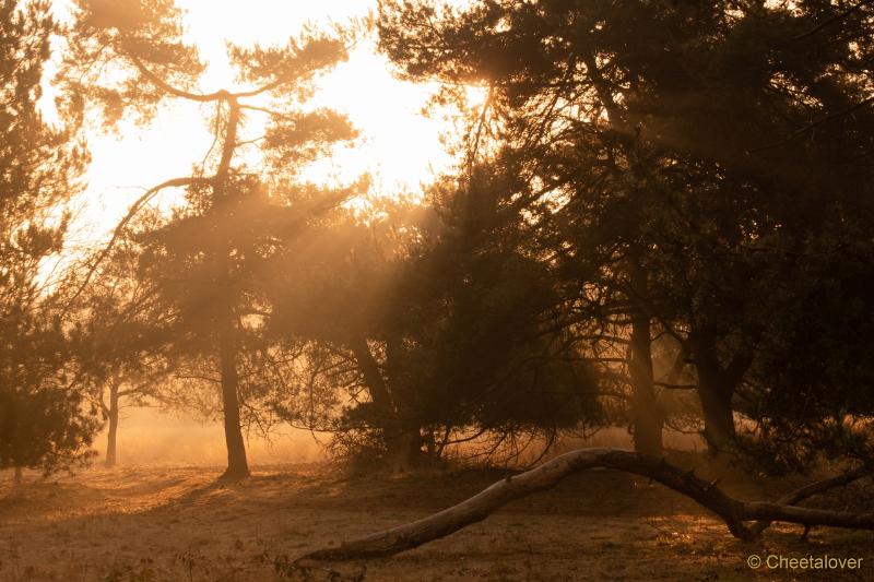 DSC00086.JPG - Zonsopkomst Regte Heide aan Rielse Dijk