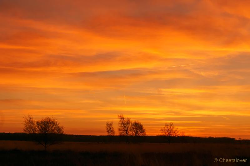 DSC00020.JPG - Zonsopkomst Regte Heide