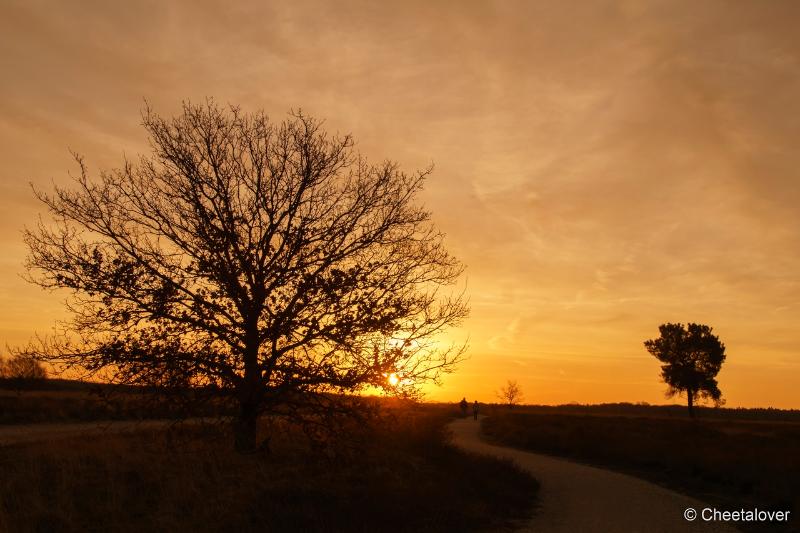 DSC00065.JPG - Zonsopkomst Regte Heide