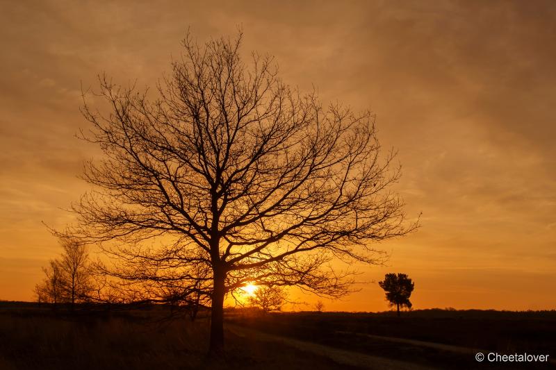 DSC00067.JPG - Zonsopkomst Regte Heide