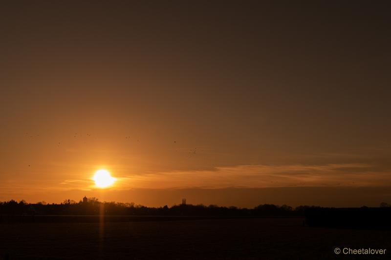 DSC00133.JPG - Zonsopkomst Regte Heide