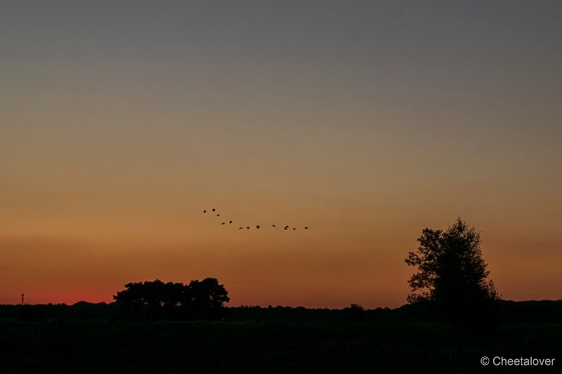 DSC00009.JPG - Regte Heide