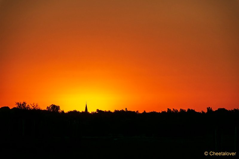 DSC00014.JPG - Regte Heide