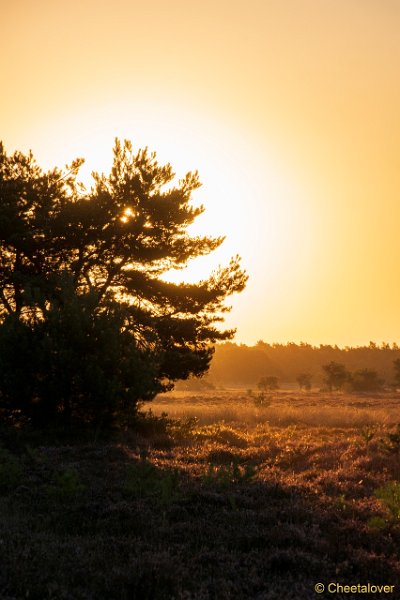 DSC00063.JPG - Regte Heide