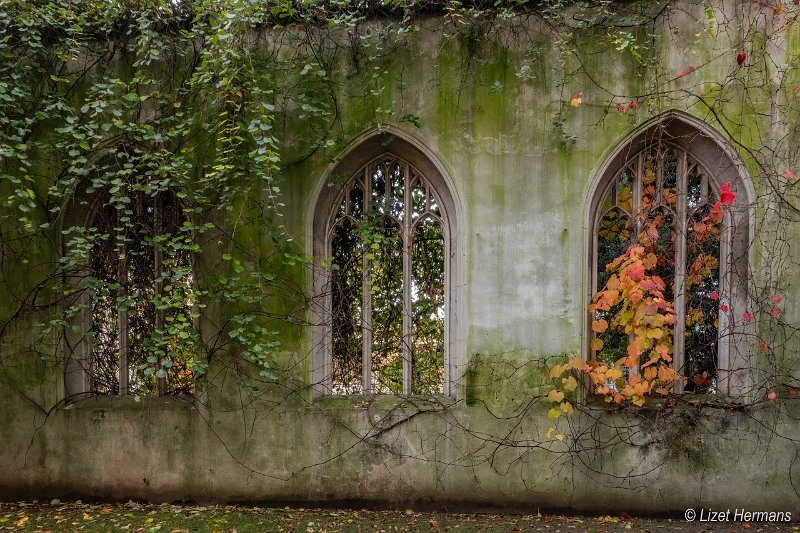 _DSC0244.JPG - St Dunstan in the East Church Garden