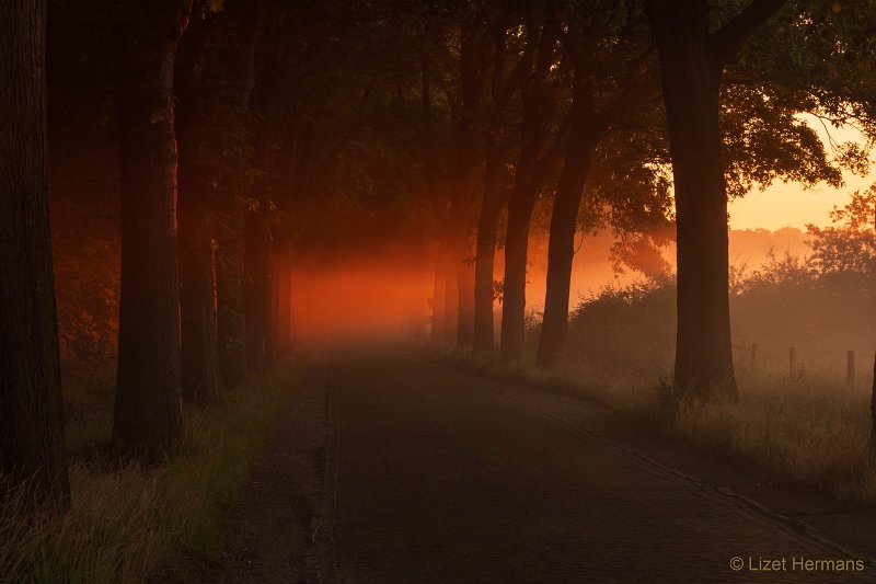 _DSC3299.JPG - Regte Heide