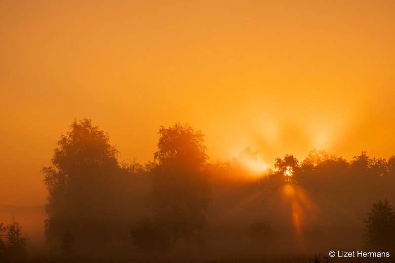 _DSC3319.JPG - Regte Heide