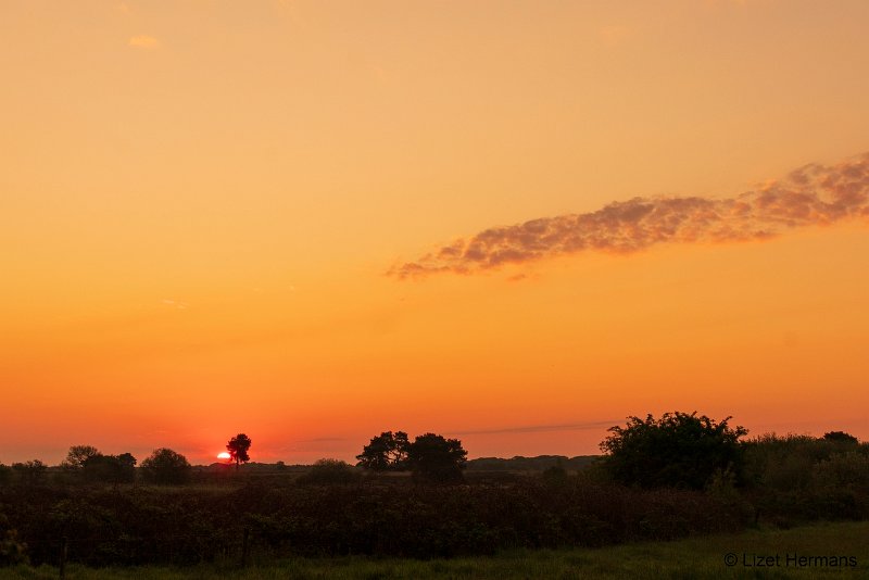 _DSC0013.JPG - Regte Heide