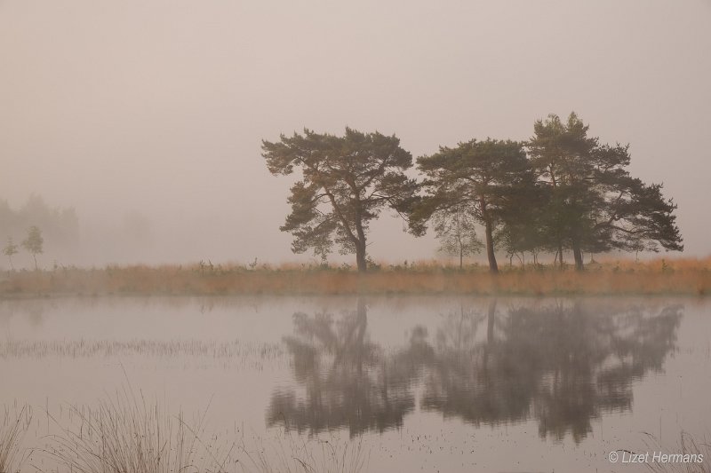 _DSC0081.JPG - Huis ter Heide