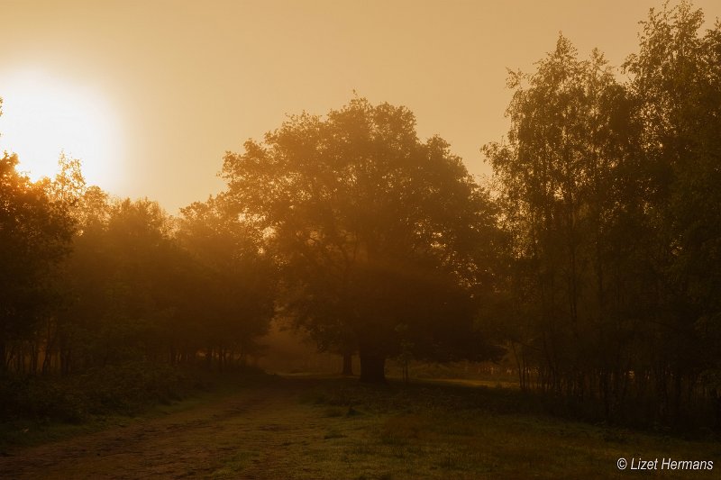 _DSC0101.JPG - Huis ter Heide