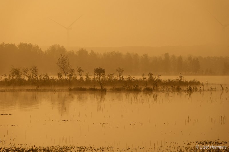 _DSC0163.JPG - Huis ter Heide