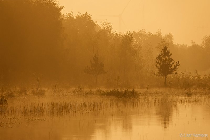 _DSC0167.JPG - Huis ter Heide