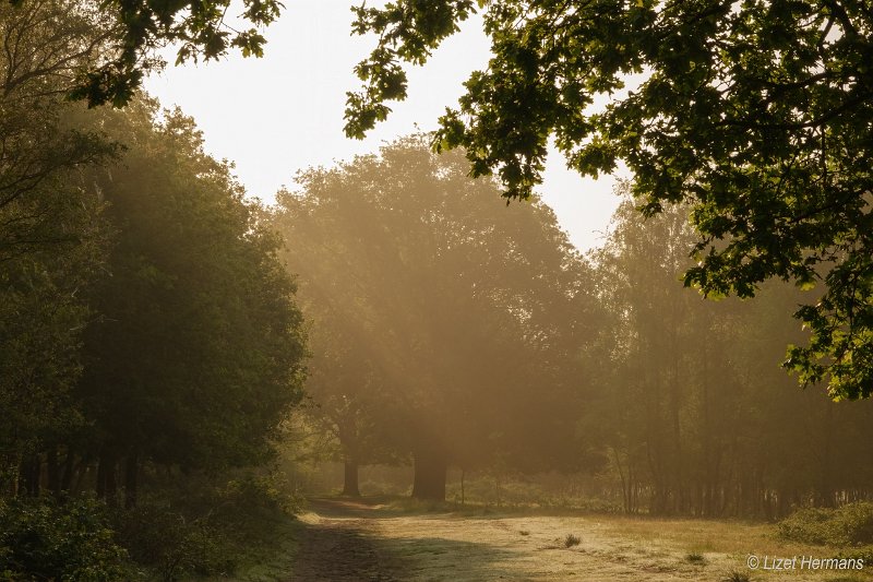 _DSC0181.JPG - Huis ter Heide