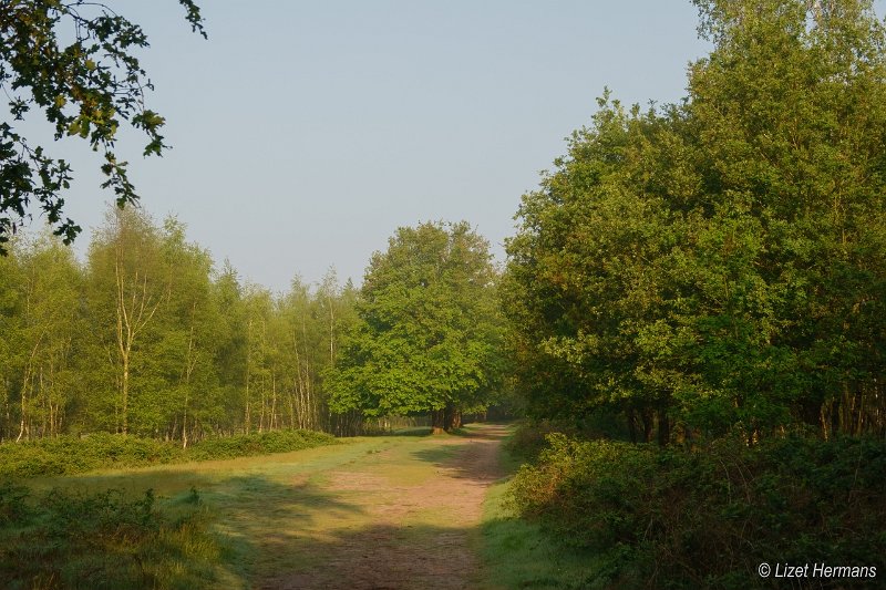 _DSC0189.JPG - Huis ter Heide