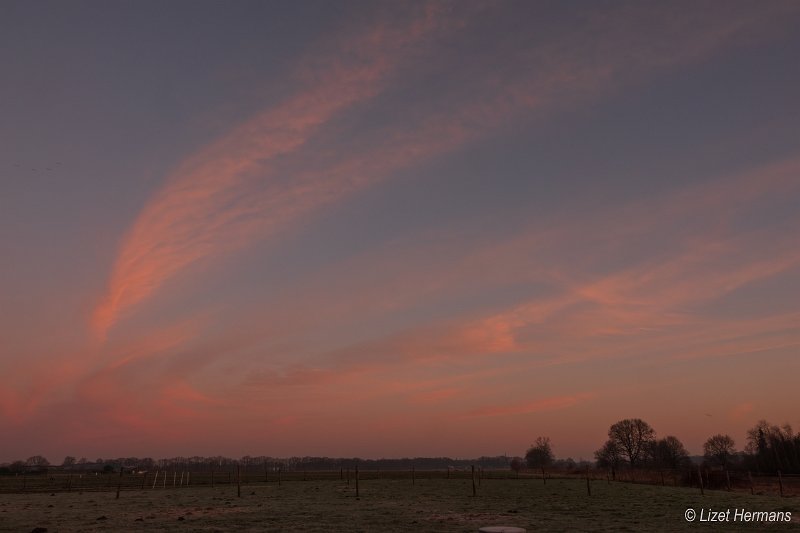 _DSC0025.JPG - Regte Heide