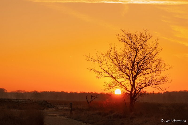 _DSC0115.JPG - Regte Heide