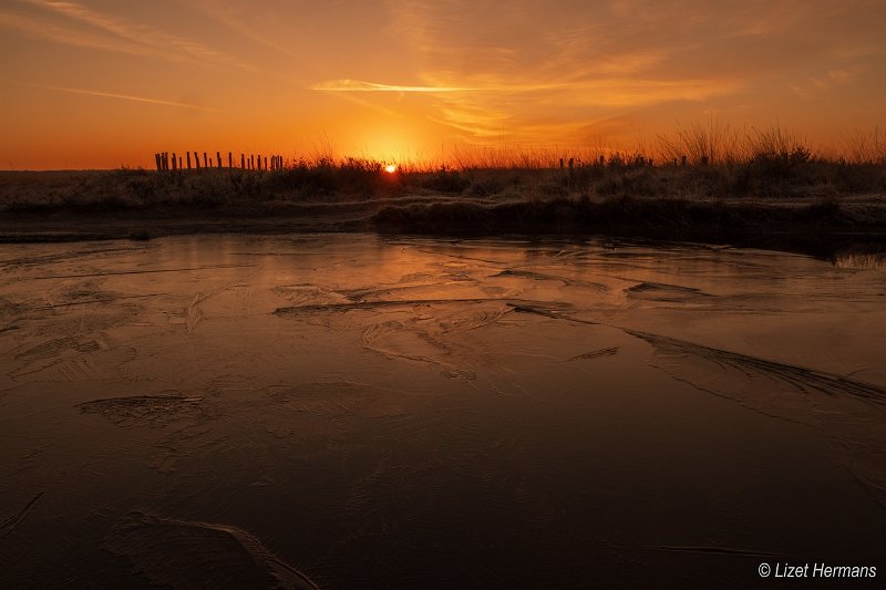 _DSC0144.JPG - Regte Heide