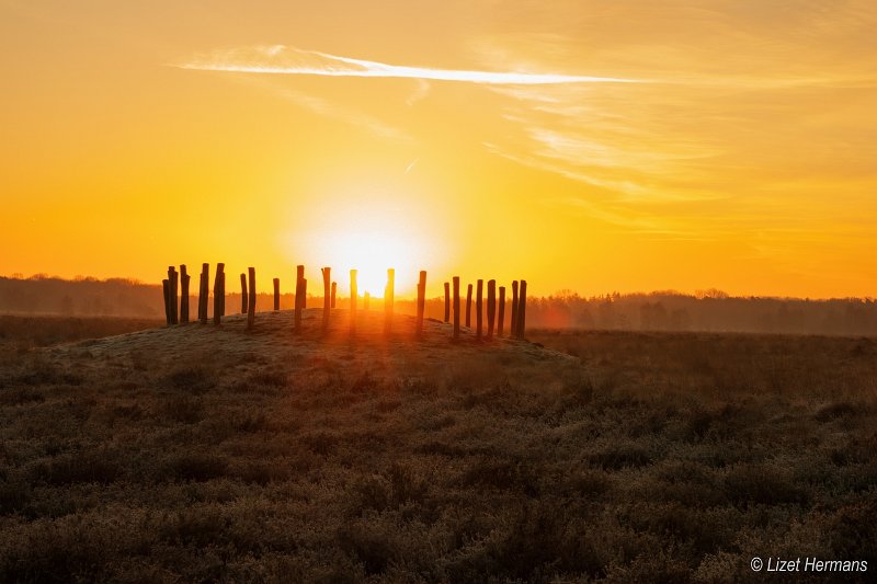 _DSC0168.JPG - Regte Heide