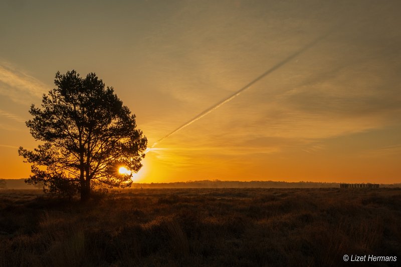 _DSC0244.JPG - Regte Heide