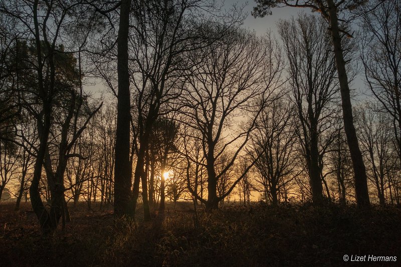 _DSC0552 - kopie.JPG - Regte Heide