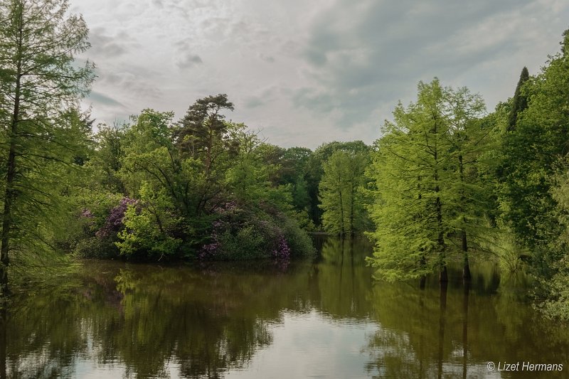 _DSC0661.JPG - Wandelbos