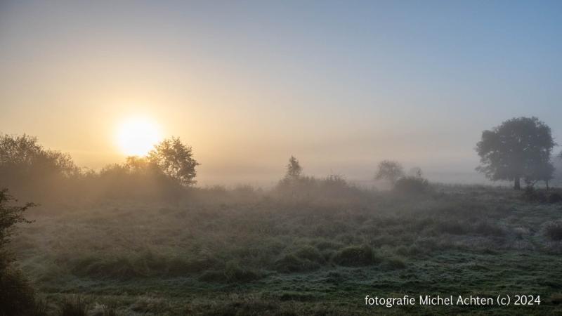 Weerterbos met mist 2024-3322.jpg